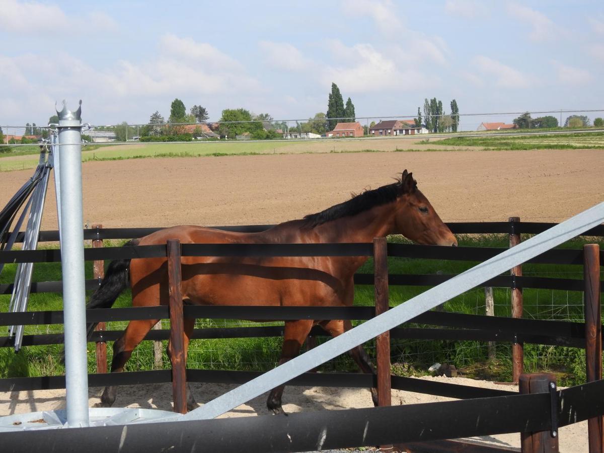 B&B De Linde Wijtschate Zewnętrze zdjęcie